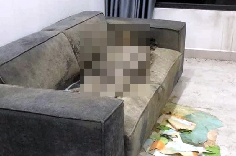 Thông tin mới vụ phát hiện thithe khô trong căn hộ chung cư ở Hà Nội Công an công bố danh tính