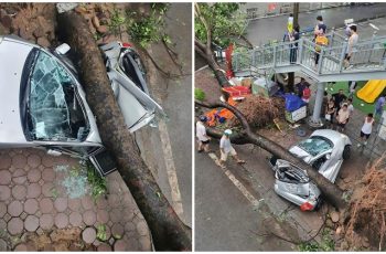 Một thanh niên 22 tuổi q.ua đ.ời trong dông lốc, cảnh tượng đường phố tan hoang, ô tô bị cây đè bẹp rúm