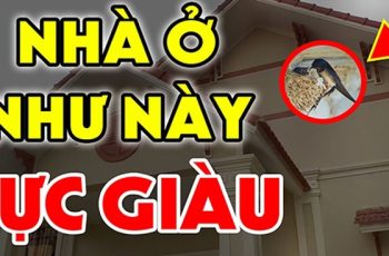 Nhà có 7 dấu hiệu này: Được trả bao nhiêu t.iền cũng kh.ông bán, đất có kho báu phong th.ủy, càng ở càng giàu