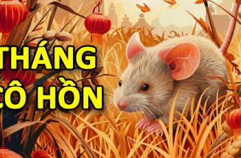 4 con giáp nữ nóng tính nhưng lại có mệnh quý nhân, thành công cả đường hôn nhân lẫn sự nghiệp