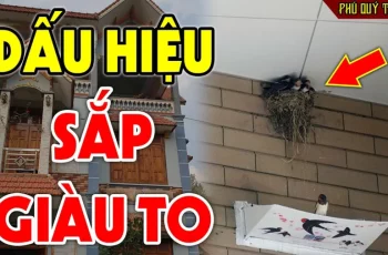 Tổ Tiên dặn chẳng sai: 5 con vật là đệ tử Thần Tài, đến nhà là tiền theo đến, nhớ đừng đuổi đi