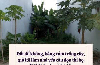 Đất để không, hàng xóm trồng cây, giờ tôi làm nhà yêu cầu dọn thì họ đòi bồi thường 10 triệu