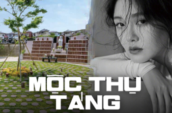 Mộc thụ táng – Hình thức ch.ôn cất theo di nguyện của Từ Hy Viên được thực hiện như thế nào?