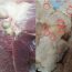 2 bộ ph:;ận của l:;ợn chứa rất nhiều tế bào UT: Chớ d:;ại mà ăn