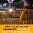 Bấm còi, rú ga sai kh:;ung giờ: Xe máy bị ph:ạt tới 14 triệu đồng