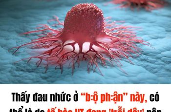Thấy đ:;au nhức ở “bộ ph:;ận” này, có thể là do tế bào u:ngth;ư đang ‘trỗi dậy’ nên cả nam và nữ đừng lơ là
