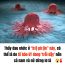 Thấy đ:;au nhức ở “bộ ph:;ận” này, có thể là do tế bào u:ngth;ư đang ‘trỗi dậy’ nên cả nam và nữ đừng lơ là