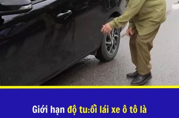 Quy định mới nhất về độ tuổi lái xe và độ tuổi không được lái xe