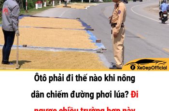 Ôtô phải đi thế nào khi nông dân chiếm đường phơi lúa? Đi ngược chiều trường hợp này có bị phạt không?