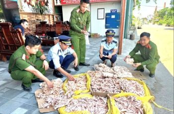 Phát hiện gần 500kg chân gà, đuôi lợn ‘bẩn’ trong kho công ty thực phẩm sạch