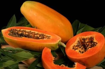 5 loại quả giàu magiê giúp xương khớp dẻo dai, ngăn ngừa đ- ột qu- ỵ 5 loại quả giàu magiê giúp xương khớp dẻo dai, ngăn ngừa đ- ột qu- ỵ