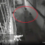 Kinh hoàng: Camera ghi lại hình ảnh con quấn thi:the mẹ vào chăn rồi bỏ ra đường ở TP.HCM