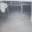 Camera nhà dân ghi lại khoảnh khắc người đi xe máy lao xuống ‘hố t: ử thần’ sâu 10m