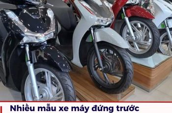 Nhiều mẫu xe máy đứng trước nguy cơ dừng bán ở Việt Nam, có cả Honda SH, Vespa Nhiều mẫu xe máy đứng trước nguy cơ dừng bán ở Việt Nam, có cả Honda SH, Vespa