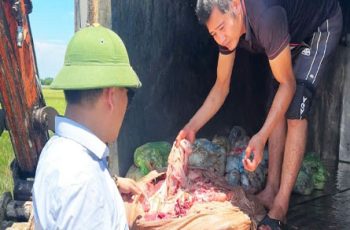 Chở hơn 1 tạ nội tạng trâu, bò b:ốc m:ùi đi bán cho các quán ăn Chở hơn 1 tạ nội tạng trâu, bò b:ốc m:ùi đi bán cho các quán ăn