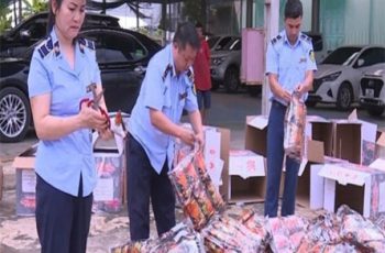 Tiêu hủy gần 2.000 gói bim bim giả mạo nhãn hiệu “Tăm cay Bà Tuyết”