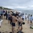 30 giây ngắn ngủi ghi lại khoảnh khắc hơn 20 người bị sóng cuốn ở Cửa Lò: Thế này s;ợ đi biển đến già