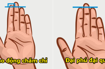Người có tướng bàn tay này đáng chúc mừng: 10 người thì cả 10 người giàu có, chuẩn hơn nhìn mặt