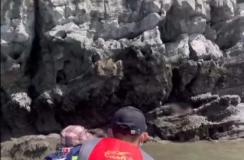 Ông bố trẻ Quảng Ninh m:ất t:ích khi đi tắm biển, con trai đứng đợi lạc lõng trên bờ đến đêm