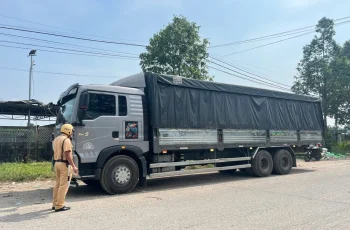 Xử phạt tài xế và chủ xe gần 200 triệu đồng vì chở quá tải