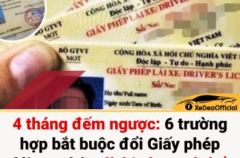 4 tháng đếm ngược: 6 trường hợp bắt buộc đổi Giấy phép lái xe, chậm là bị phạt có thể lên tới 20 triệu đồng