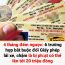 4 tháng đếm ngược: 6 trường hợp bắt buộc đổi Giấy phép lái xe, chậm là bị phạt có thể lên tới 20 triệu đồng