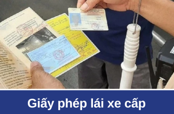 Giấy phé:;p lái xe cấp trước 2025 có phải đổi sang loại mới?
