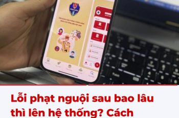 Lỗi phạt nguội sau bao lâu thì lên hệ thống? Cách check xe bị phạt nguội online năm 2025