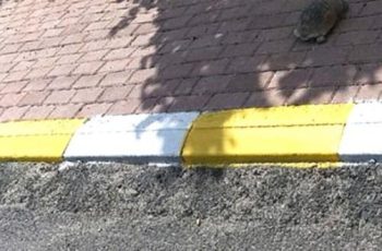 Cách nhận biết vạch kẻ đường cấm đỗ xe, dừng xe và mức phạt vi phạm Cách nhận biết vạch kẻ đường cấm đỗ xe, dừng xe và mức phạt vi phạm