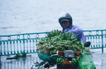 Tết Nguyên đán năm nay, nhiệt độ có thể lạnh hơn trung bình nhiều năm Tết Nguyên đán năm nay, nhiệt độ có thể lạnh hơn trung bình nhiều năm