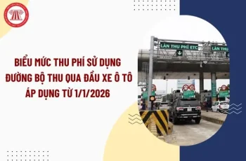 Biểu mức thu phí sử dụng đường bộ thu qua đầu xe ô tô áp dụng từ 1/1/2026 theo Nghị định 364 cụ thể ra sao? Biểu mức thu phí sử dụng đường bộ thu qua đầu xe ô tô áp dụng từ 1/1/2026 theo Nghị định 364 cụ thể ra sao?
