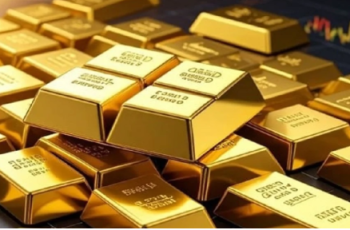 Giá vàng hôm nay (13/2) bất ngờ “lao dốc”, thế giới chỉ còn 4.900 USD/ounce Giá vàng hôm nay (13/2) bất ngờ “lao dốc”, thế giới chỉ còn 4.900 USD/ounce